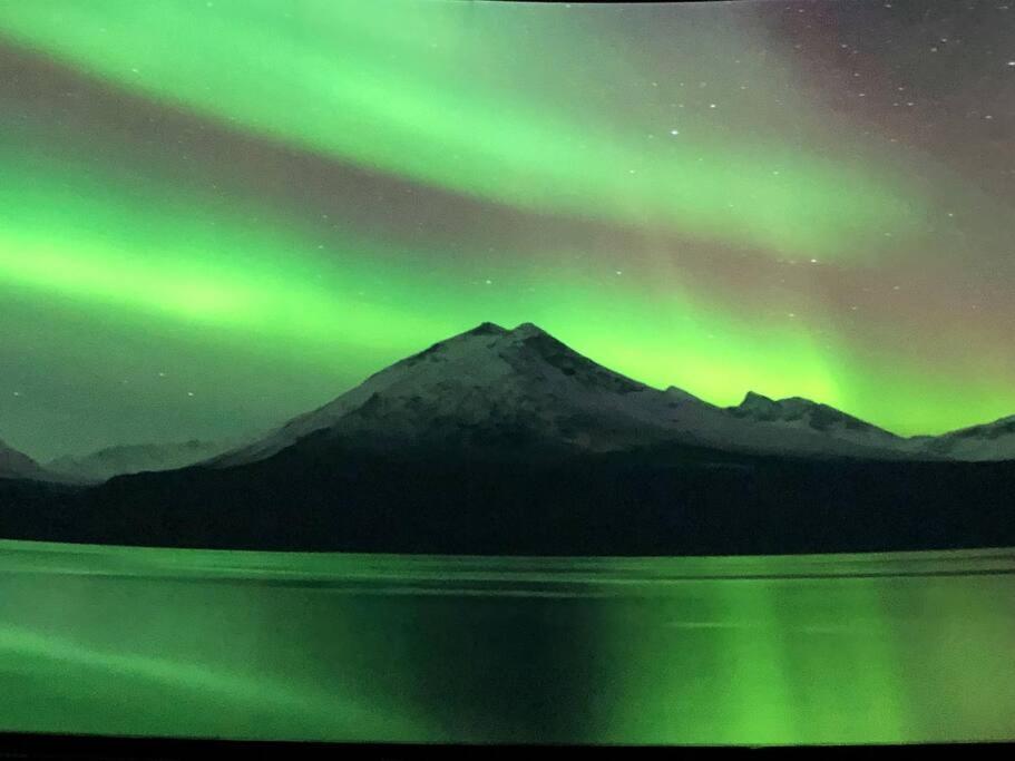 Northern Light Tromso Bagian luar foto